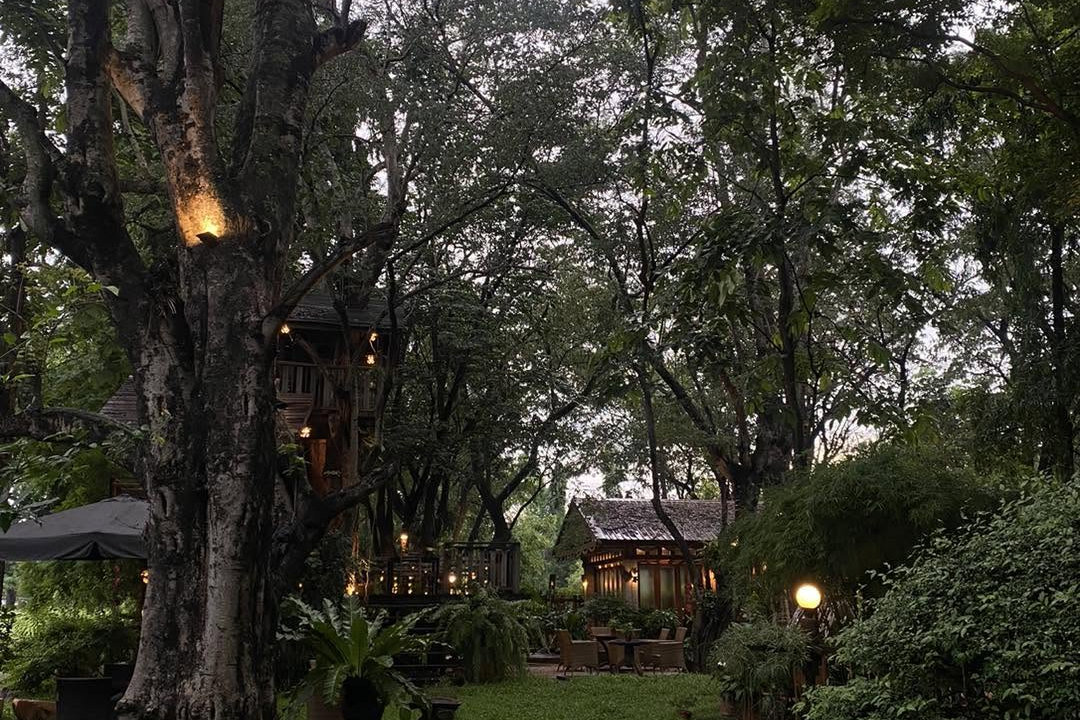 คาเฟ่ขอนแก่นสายธรรมชาติ Le Jardin Cafe