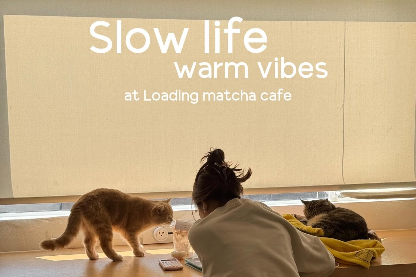 คาเฟ่ขอนแก่น Loading Matcha Cafe