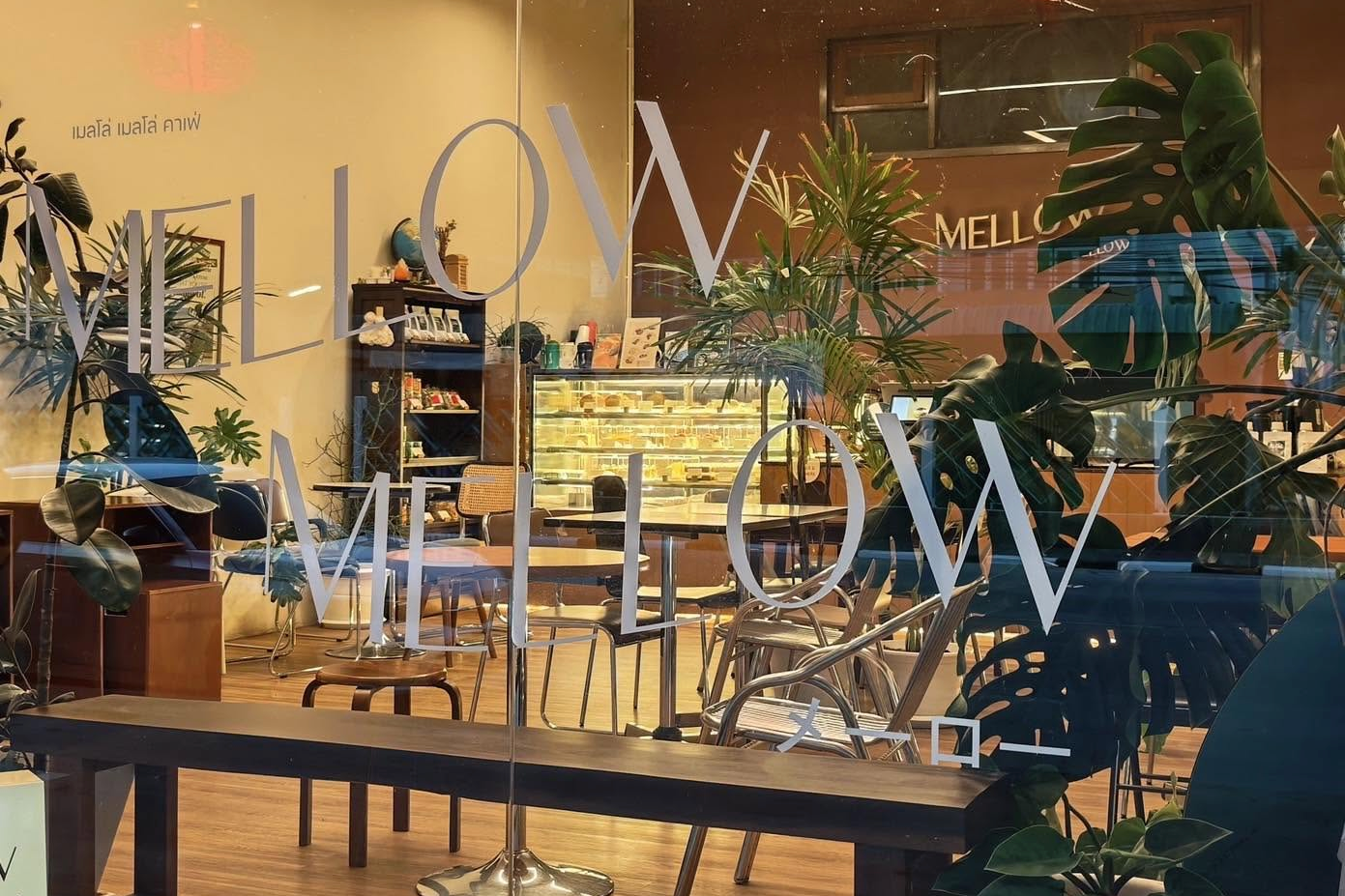 คาเฟ่ขอนแก่น Mellow Mellow Cafe